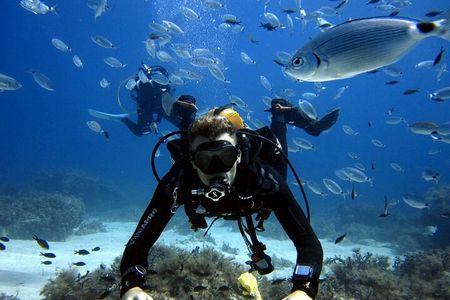 Discover Scuba Diving Experience