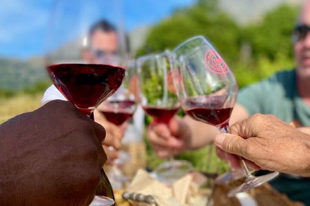  Wine Tasting in Patrimonio & Saint-Florent