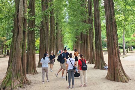 Scenic Escape: Nami Island, Garden of Morning Calm, and Rail Bike
