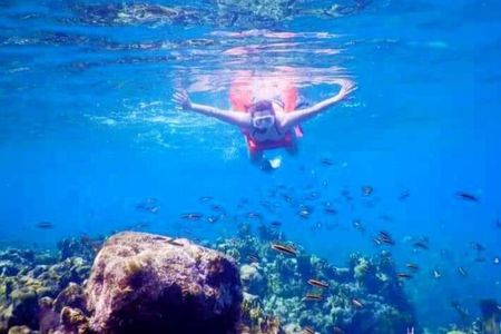 Roatan Zipline through the Forest ATV and Snorkeling Tour 