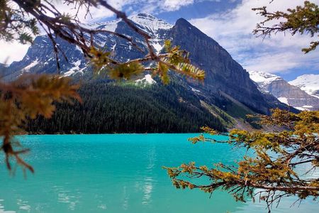 Lake Louise, Moraine Lake, Peyto Lake, Crowfoot, Johnston Canyon