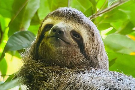 Corcovado National Park: Mermaid day tour from Puerto Jimenez