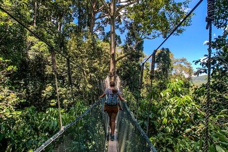 Kinabalu Park Tour with Desa Dairy Farm & Poring Hot Springs