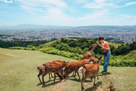 Perfect Nara Park Half-Day Bus Tour with English Speaking Guide