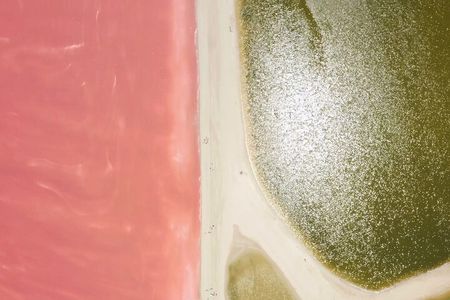 Safari in Rio Lagartos, Coloradas and Mayan Bath