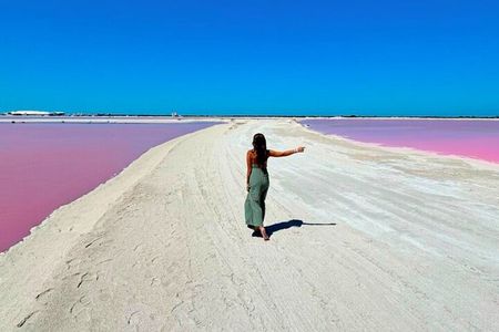 Safari in Rio Lagartos, Coloradas and Mayan Bath with Lunch