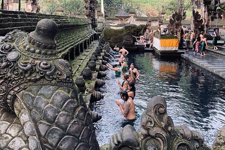 Best Of Ubud Private Tour - Waterfall, Rice terrace & Tample