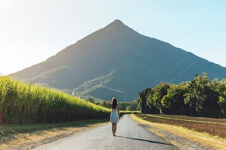 Explorer Tour by Cairns Waterfalls