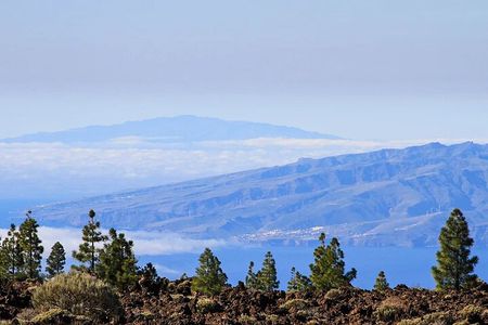 Half-day excursion to Teide National Park