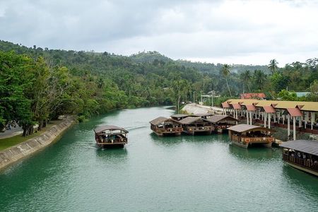 Bohol Chocolate hills and Waterfalls Ecotour