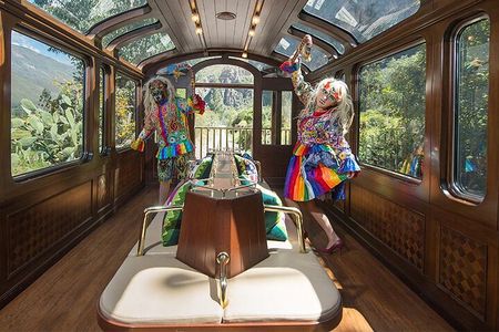  Machu Picchu Tour Full Day by Vistadome Observatory Train