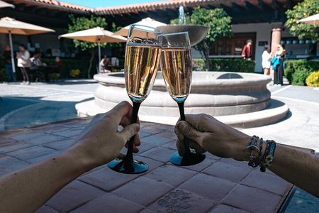 Cheese and Wine Tour in a Day from Queretaro