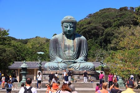 Kamakura Full Day Tour: Kotoku-in & Enoshima & Hachimangu Shrine 