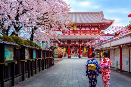 Tokyo City Tour by Private Car & English guide
