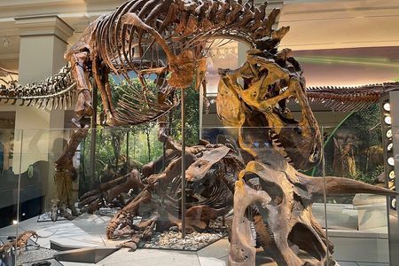 Smithsonian Natural History Museum Exclusive Guided Tour