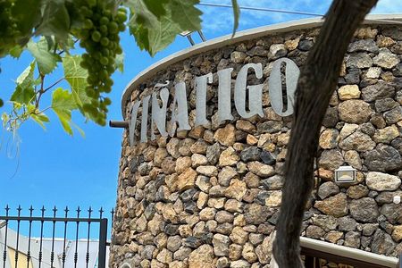 Guided Tour with 6 Wine Tasting