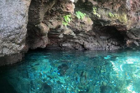 Ultimate Upolu Highlights Tour – Apia Cruise Ship Shore Excursion