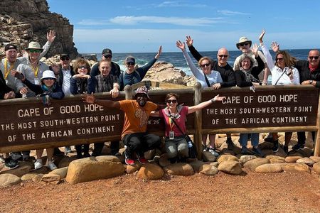 Private Tour: Cape of Good Hope and Penguins from Cape Town