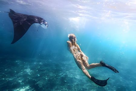 Snorkeling In Nusa Penida Island With Manta Ray From Bali