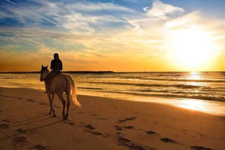 Sunset Beach Horseback Ride Phuket