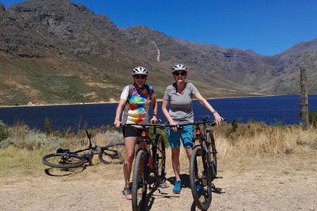 Half Day E Bike Cycling Wine Tour