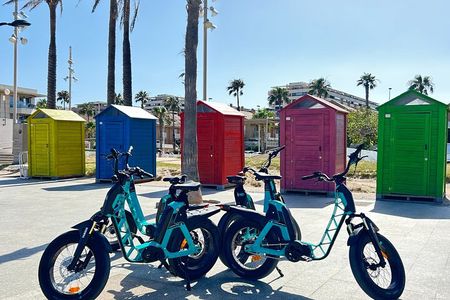 E-bike Tour: Beaches, & City of Arts and Sciences (From €30,00)
