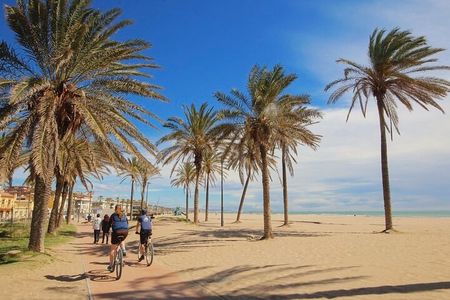 E-bike Tour: Beaches, & City of Arts and Sciences (From €30,00)