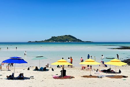 Small Group Tour in West Jeju Healing Island w/Hotel Pick-up