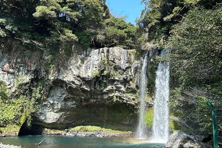 Small Group Tour in South Jeju Healing Island w/Hotel Pick-up