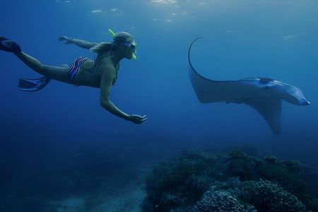 From Bali: Nusa Penida Snorkeling and Island Tour