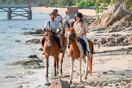 Horse Riding and Beach Trails on Koh Samui