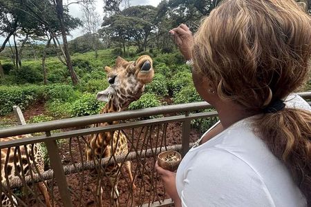 Giraffe Centre and Bomas of Kenya from Nairobi