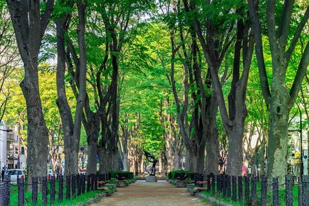 Sendai Private Customizable Full Day Tour