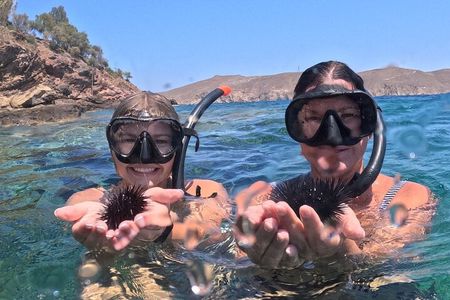 Private 1-Hour Guided Snorkeling Adventure with Go Pro Pictures 