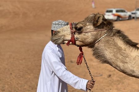 Full-Day Private Tour of Wahiba Sands Desert and Wadi Bani Khalid