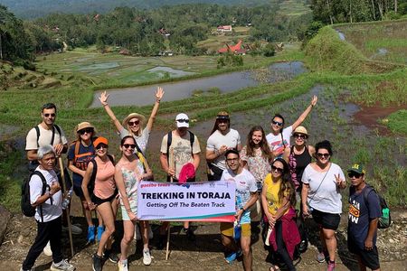 Toraja Bugis Bira Exploration 8 Days (Trekking & Snorkeling)