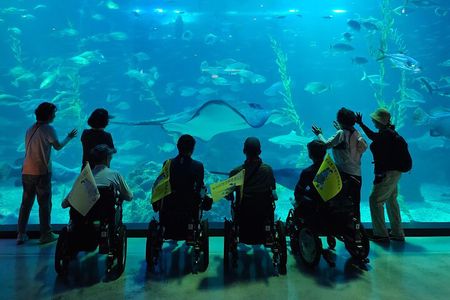 A comfortable wheelchair trip & east of Jeju