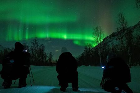 Tromsø: Express Aurora Hunt with Wandering Owl