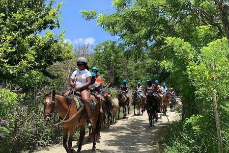 Puerto Plata Sightseeing & Horse Riding | Amber Cove & Taino Bay