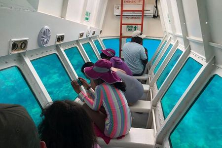 Roatan Glass Bottom Boat Tour, Wildlife Chocolate & Rum Tasting