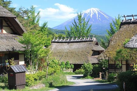 Experience the Stunning Nature of Mt.Fuji - Private Tour