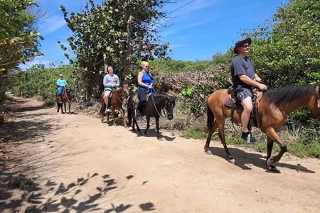 Roatan Half-day Combo 4 in One