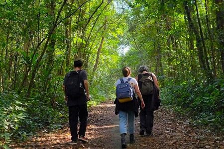 Full-Day Trekking: Explore Cat Ba National Park, Viet Hai Village