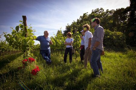 Winery Tour and Tasting on Padua Hills