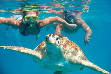 Abu Dabbab Beach Snorkeling Adventure 