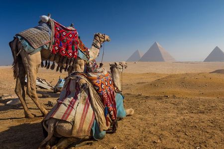 "Private Half-Day Tour to the Giza Pyramids Saqqara and Memphis