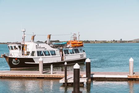 3 Hour Tauranga Scenic Cruise