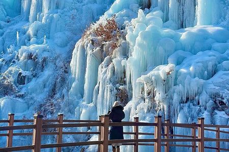 Eobi Ice Valley, Nami Island and Petite France tour in Seoul