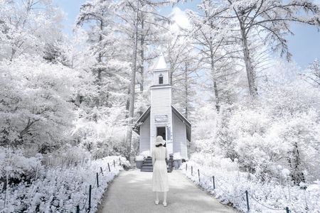 Eobi Ice Valley, Nami Island, Morning Calm and Rail Bike Seoul