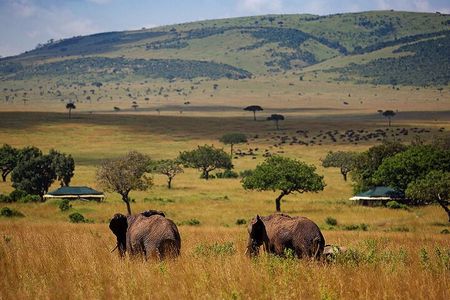 3 Days 2 Nights Maasai Mara National Reserve Joining Safari 